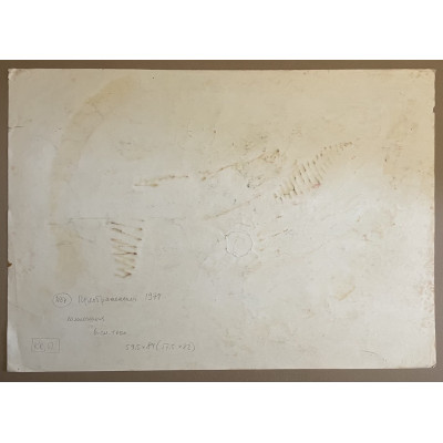 Композиция 1974 год