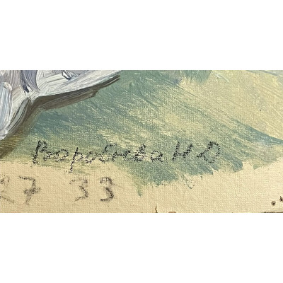 С братом на велосипеде