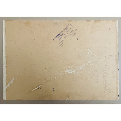 Две вазы с полевыми цветами