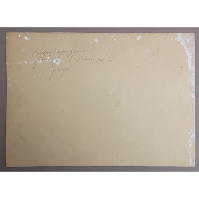 Цветущее поле с густой травой