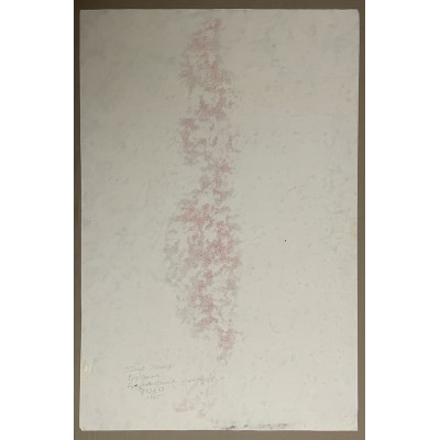 Вертикаль 1995 год