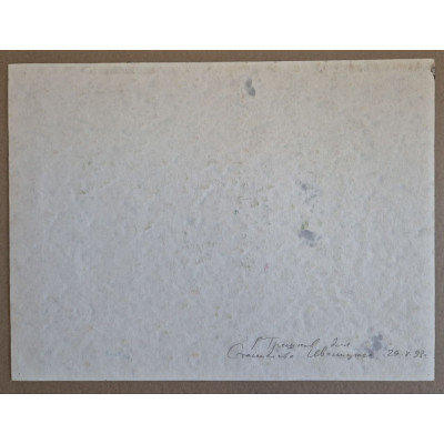 Свет среди камней