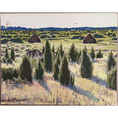 Северные кипарисы