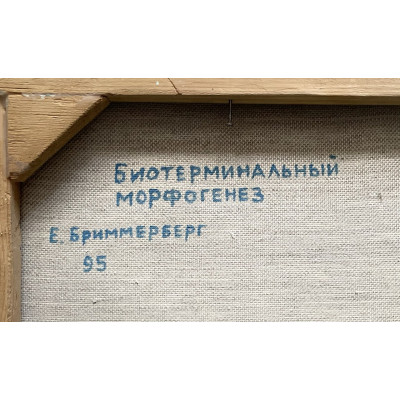 Биотерминальный морфогенез
