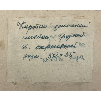 Гармонист. Первый парень на деревне