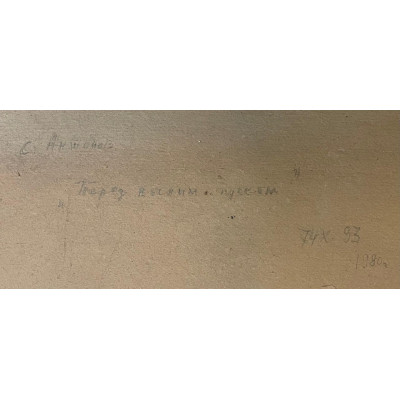 Перед ночным пуском