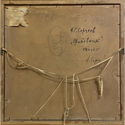 Шиповник 65 год