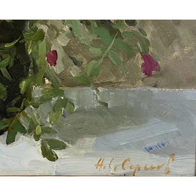 Шиповник 65 год