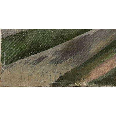 Дворик в Устюге