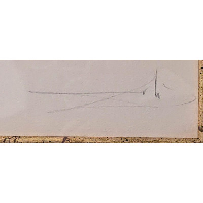 Литография, тираж 175